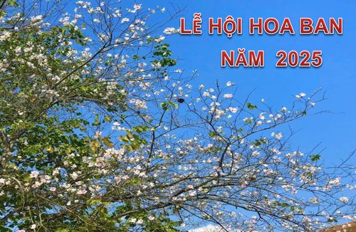 Về miền Hương Sắc Hoa Ban quê em