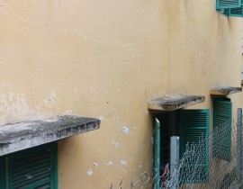 IMG-20231201-091810.jpg