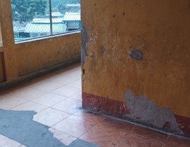IMG-20231205-153831.jpg